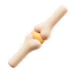 Southern California Medical Group 